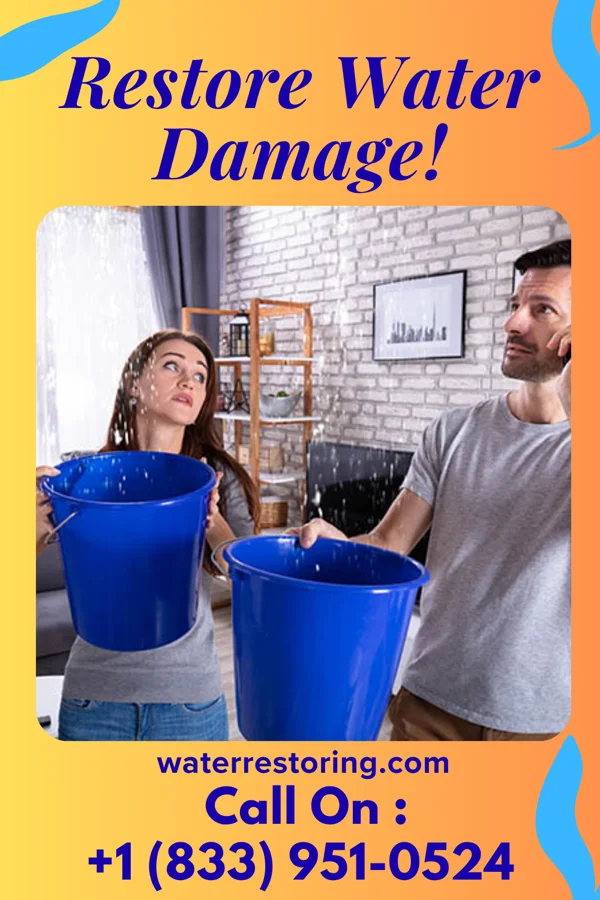 water restoration Power Disaster Cleanup Inc Stonebridge