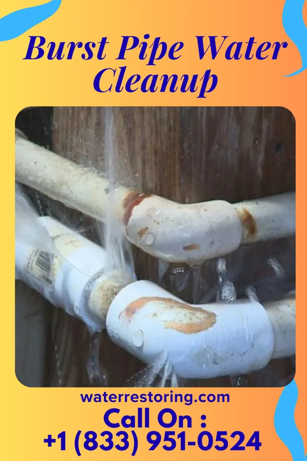 Burst Pipe Water Cleanup in Stonebridge, NJ