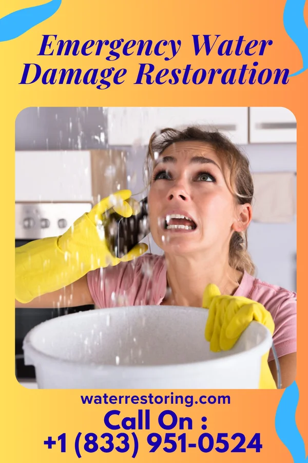 Emergency Water Damage Restoration in Stonebridge, NJ