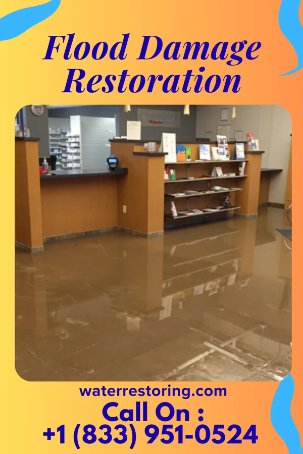Flood Damage Restoration in Stonebridge, NJ