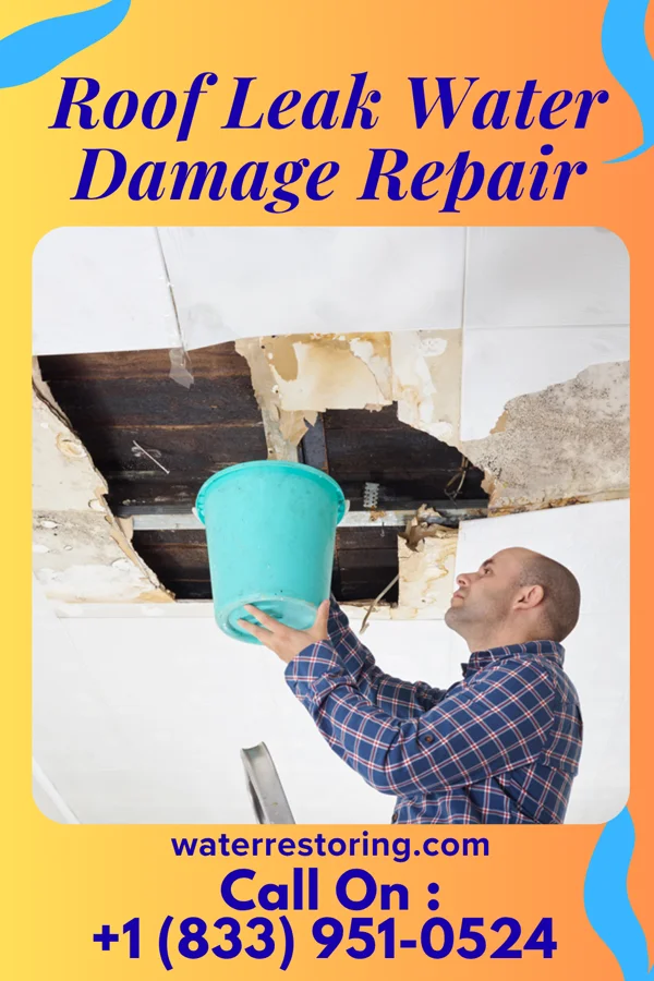 Roof Leak Water Damage Repair in Stonebridge, NJ