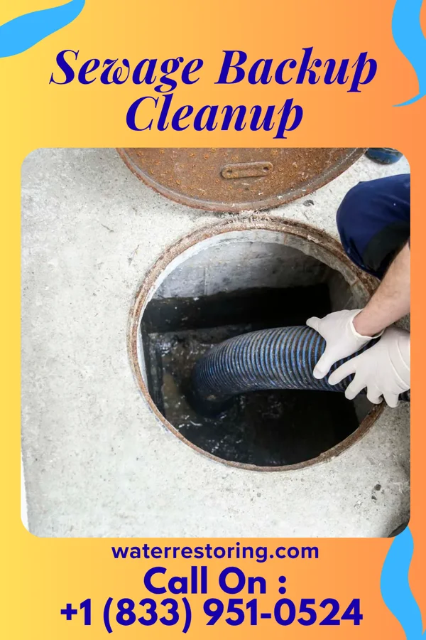 Sewage Backup Cleanup in Stonebridge, NJ
